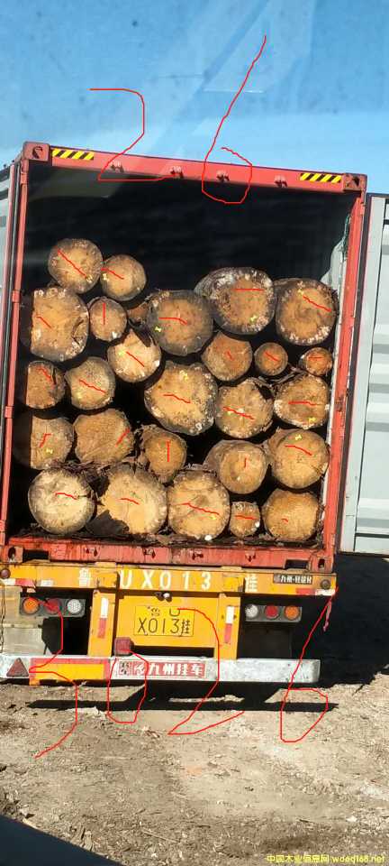 �ݿ���ɼԭľ��؛��Ԕ����B