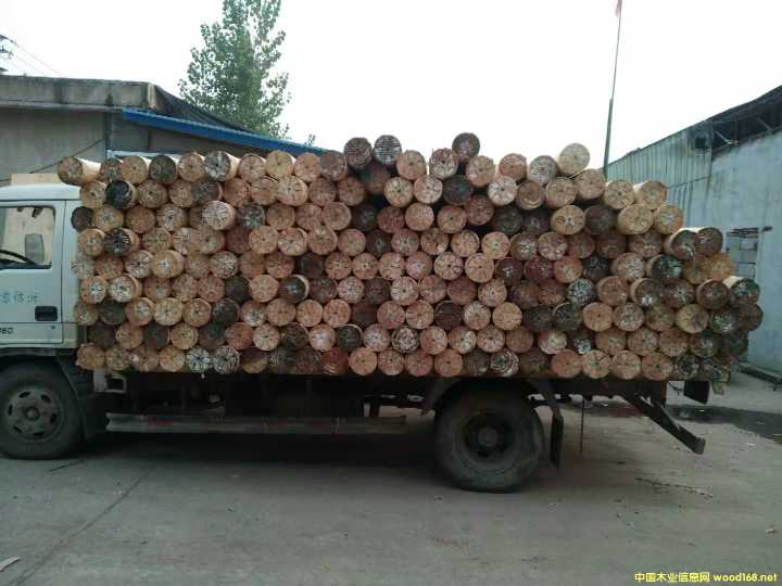  ��Ԕ����B