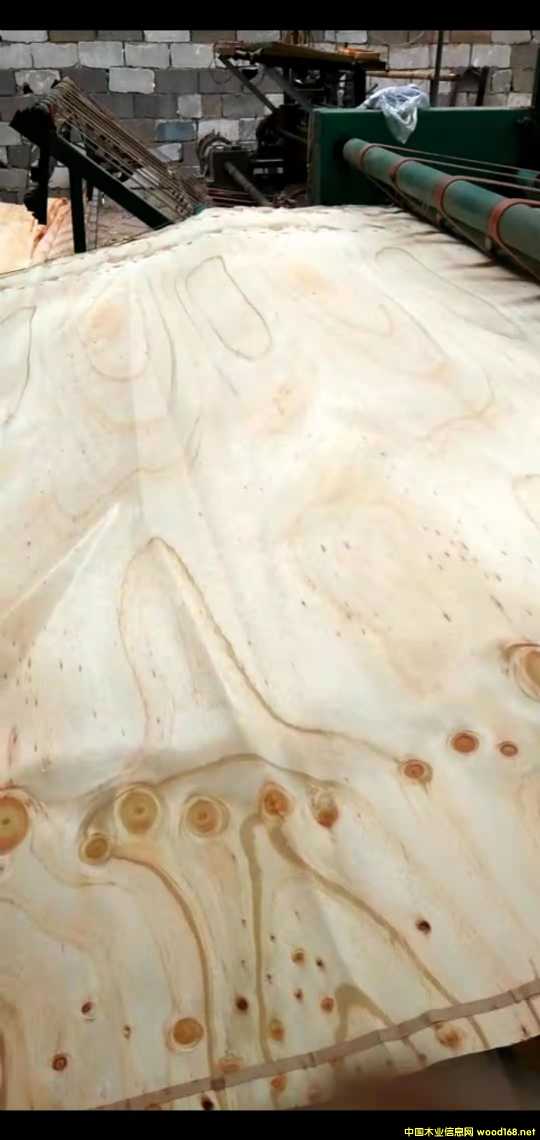  ��Ԕ����B