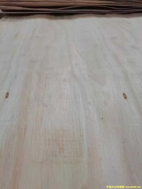  �M(j��n)�����zľ���Іΰ��Ԕ��(x��)��B