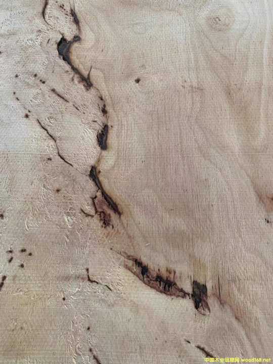 [��] �M(j��n)�����zľ���Іΰ�