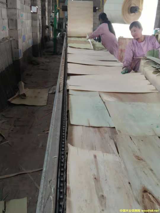  ��Ԕ����B