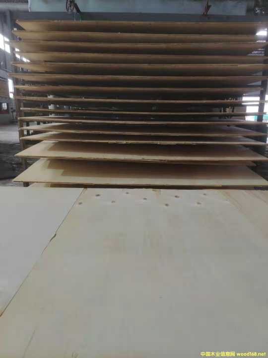  ��Ԕ����B