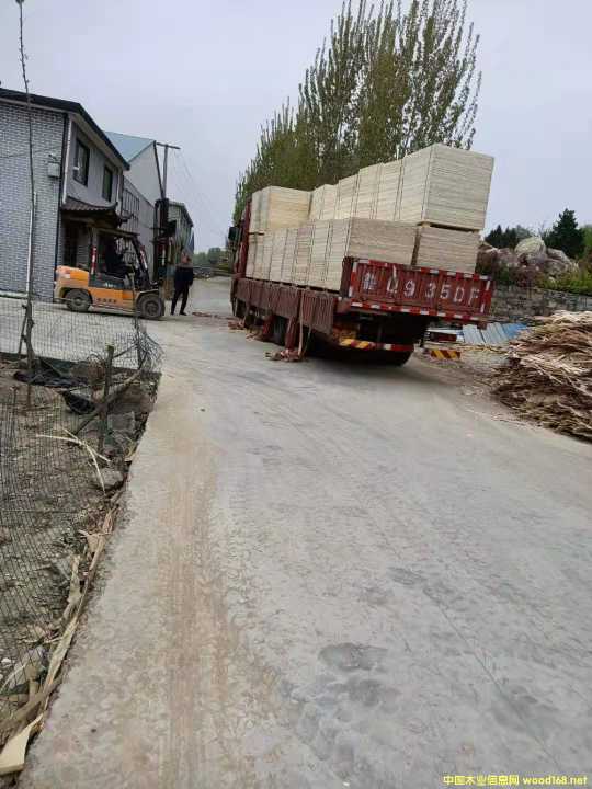  �бP���Ԕ����B