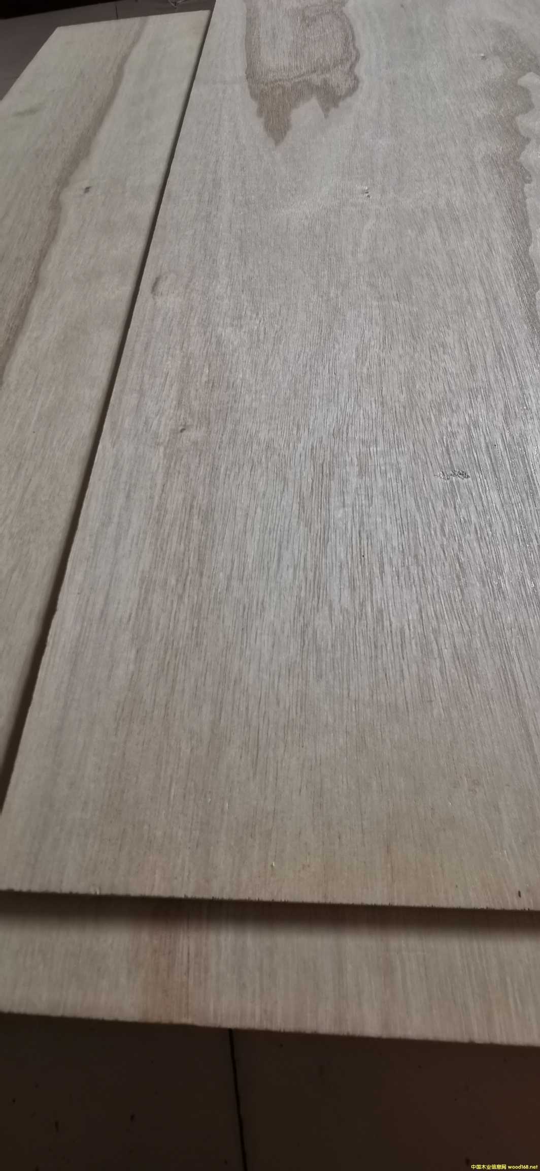 ͩľ��ˇ��