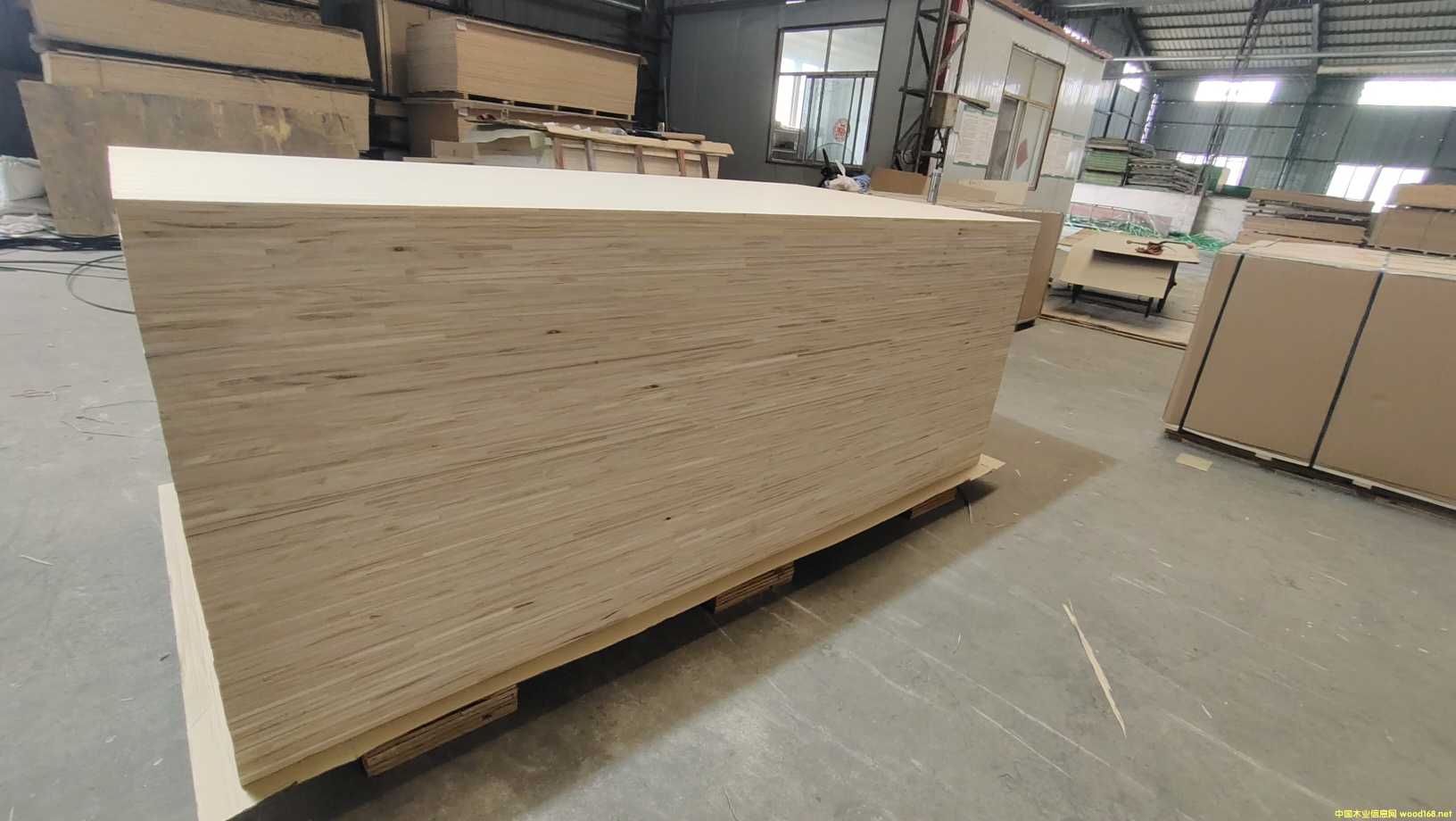 ͩľ��(x��)ľ����