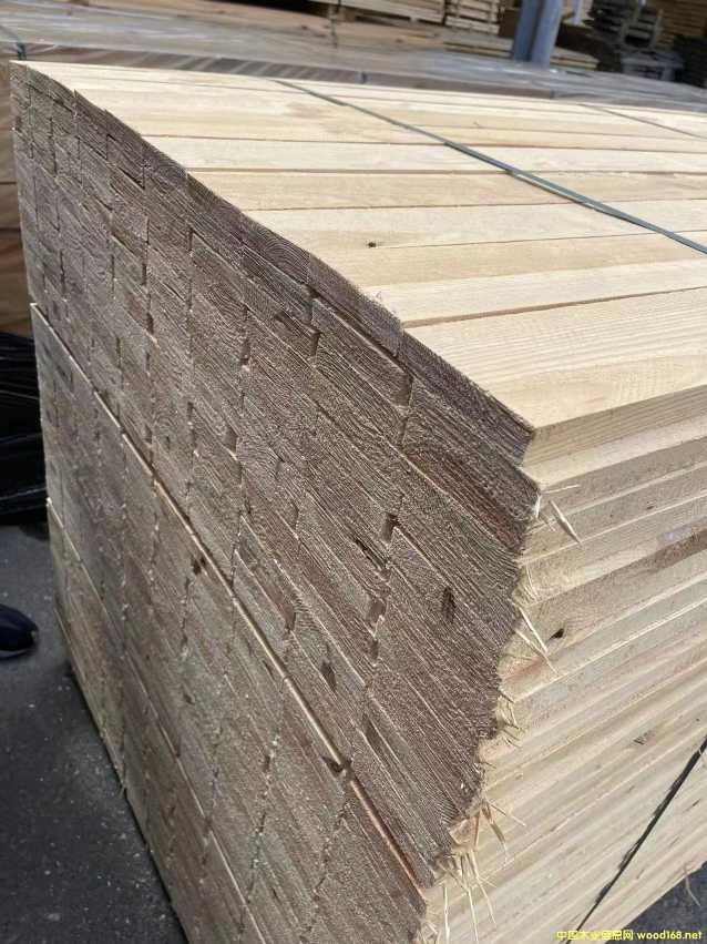 �����бP����