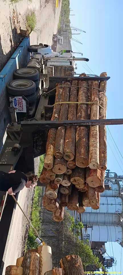  ����(gu��)Ӳ�sľ