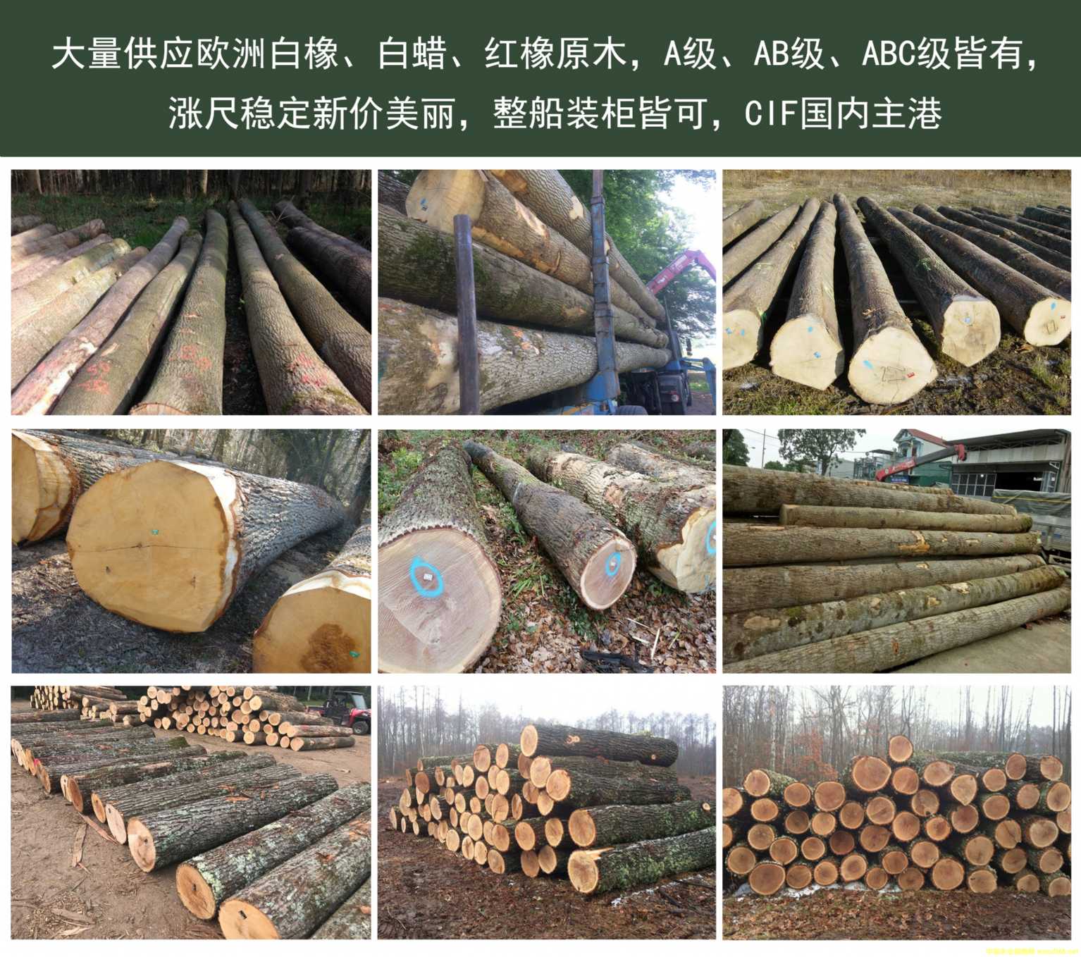 [��] ������������Ϟ�����𡢼t��ԭľ