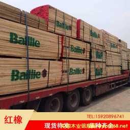 �c���鿴�����t��ľ�Ŵ�DƬ