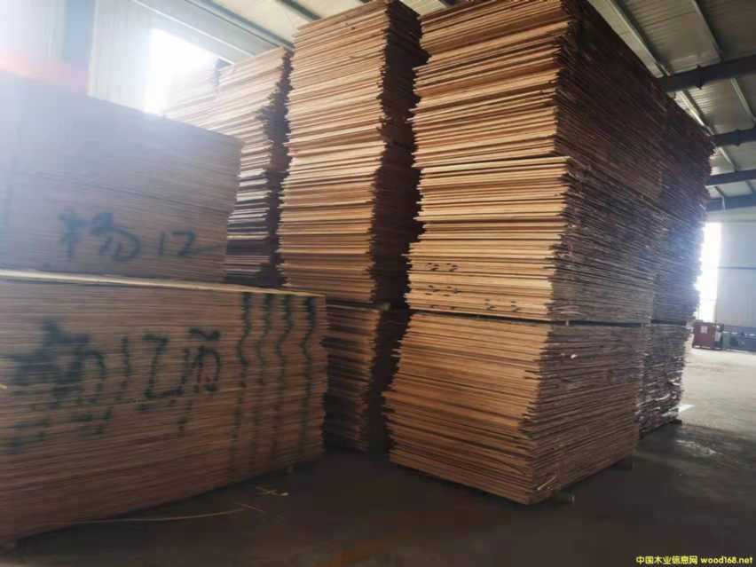 ����ȫ��ߙn�Ҿ߰����B��