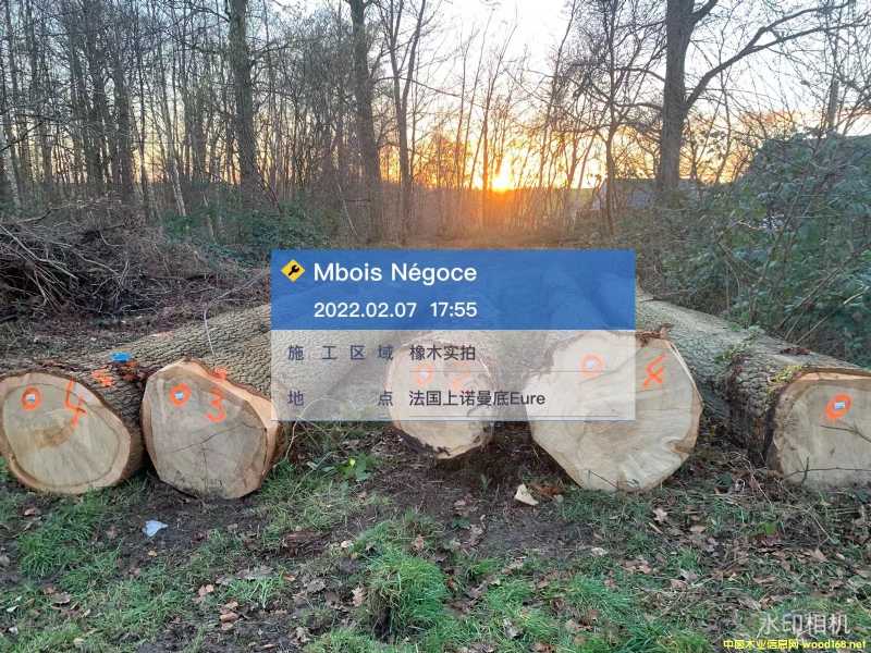 �c���鿴�W�ް���Ŵ�DƬ