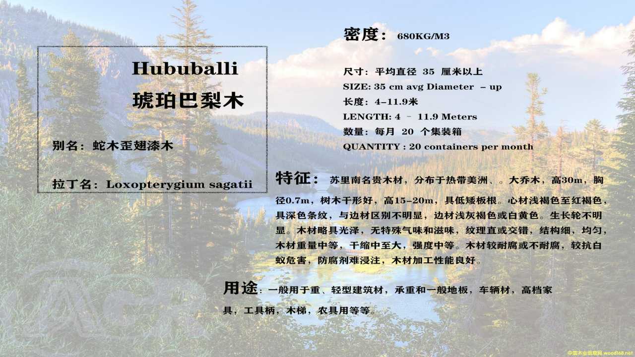 �������ľ��Ԕ��(x��)��B