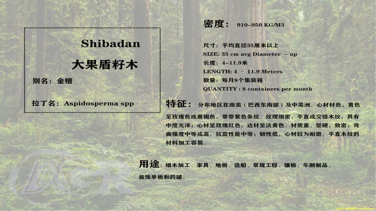 ��̴��Ԕ��(x��)��B