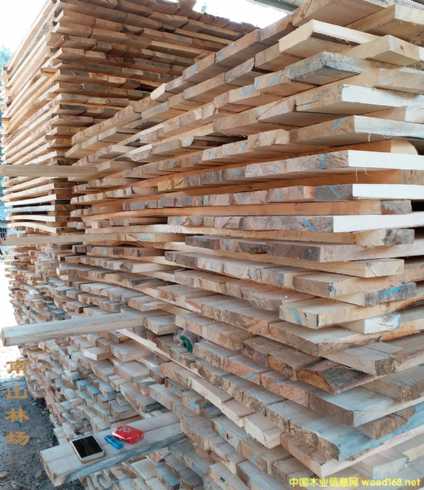 ����ľ��ľ�l ��(sh��)ľ��� ��(h��)���^���ߵ� ���� ¶�����_(t��i)���ʹ��