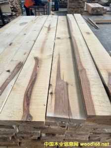 ��ľ��� �ΰ�