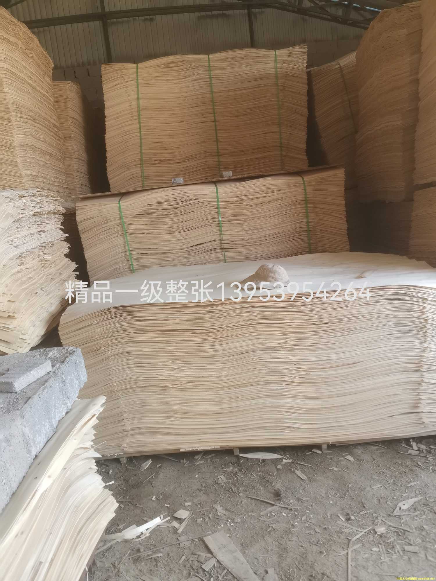 һ��������Ԕ��(x��)��B