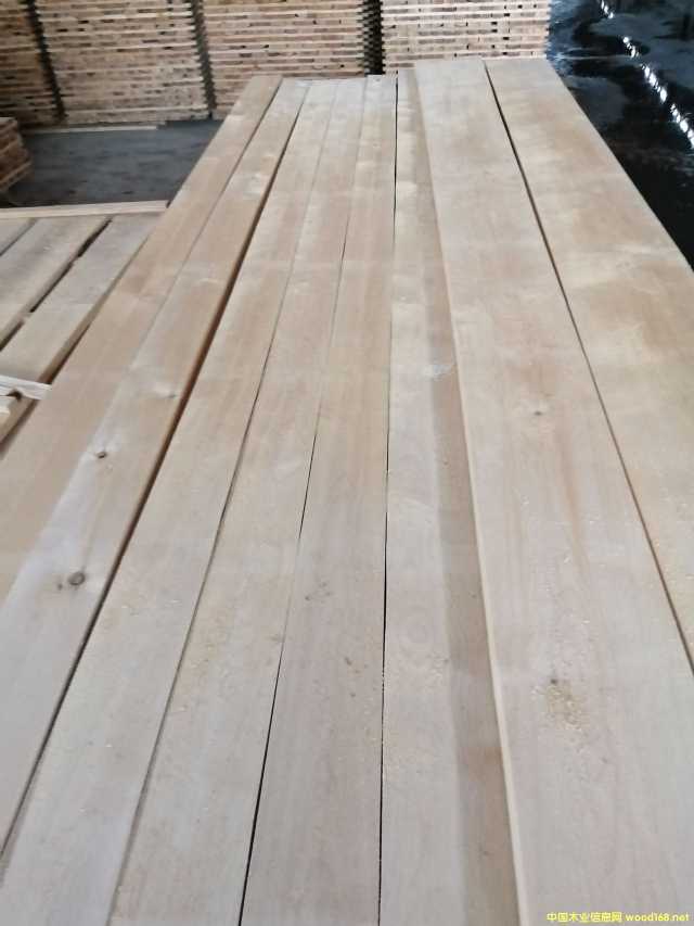 ��ľ�����ģ��p�׸ɰ壩