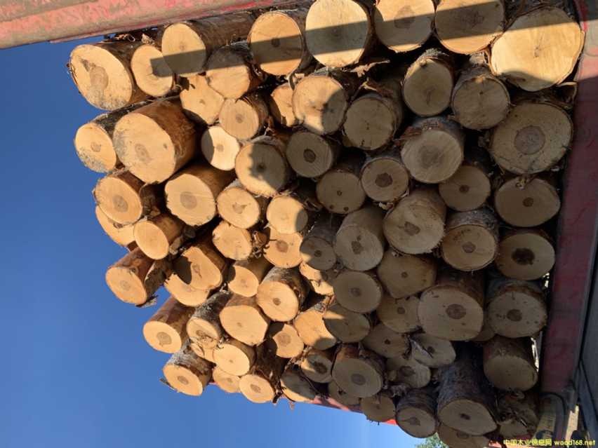 ���_˹���|��ľԭľ