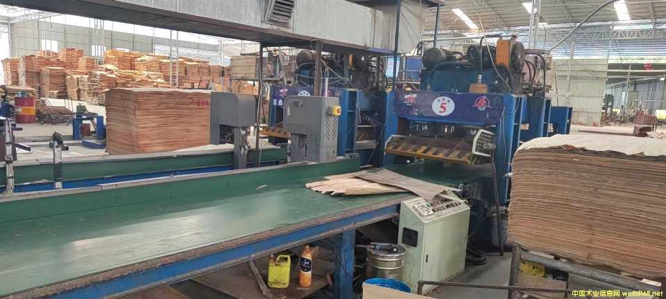 �A��36��ȫ�Ԅӎ��A������ľģ���Ű���b�C