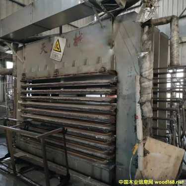 ����N���O��������������N�扺�C