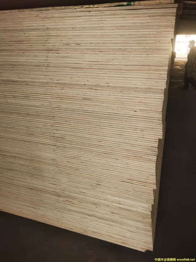 ����ȫ��ߙn�Ҿ߰����B��