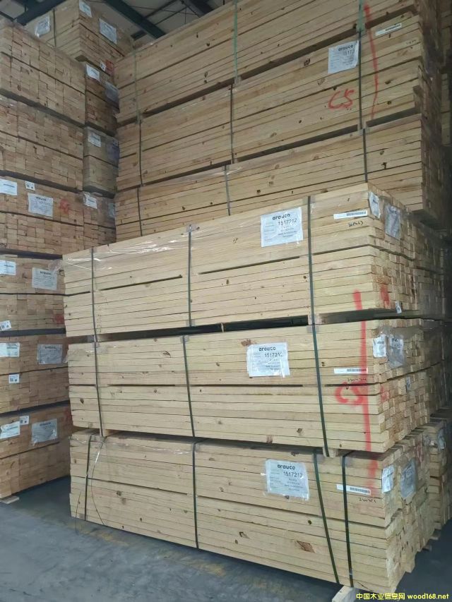 ����͢�� ����� ݗ���� arauco