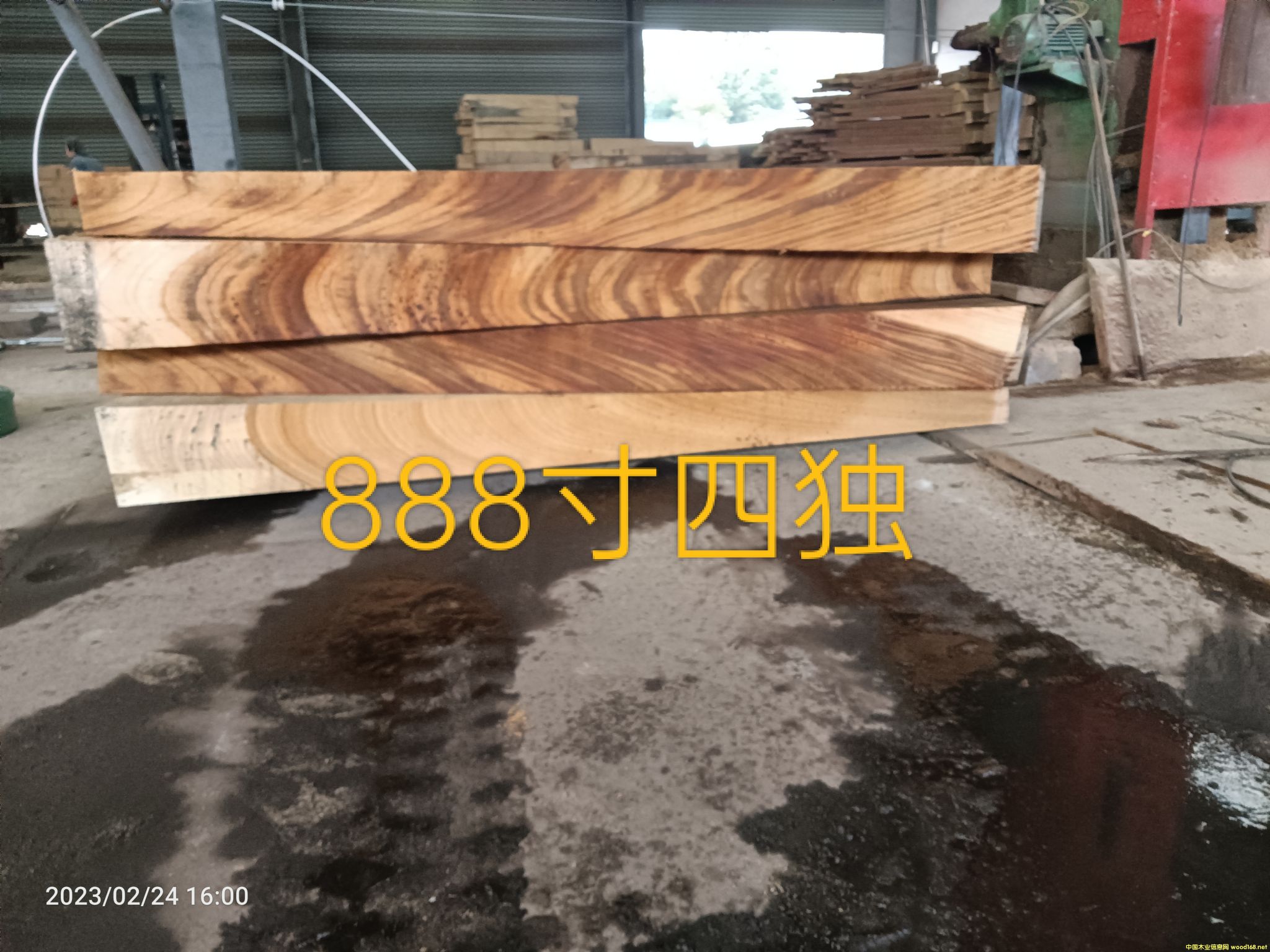 �Sõ��۲��Ϫ���