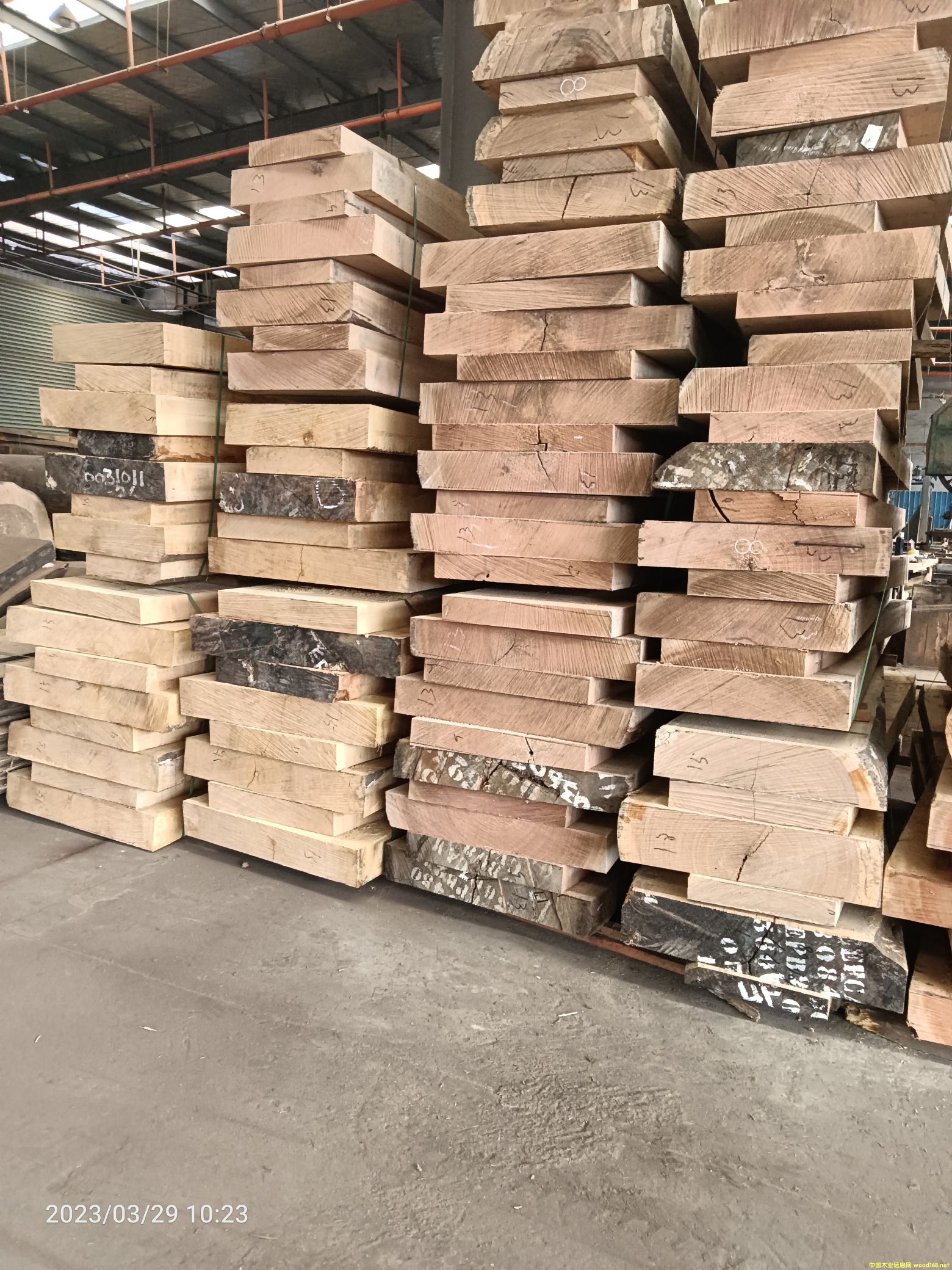 ���޲��}��