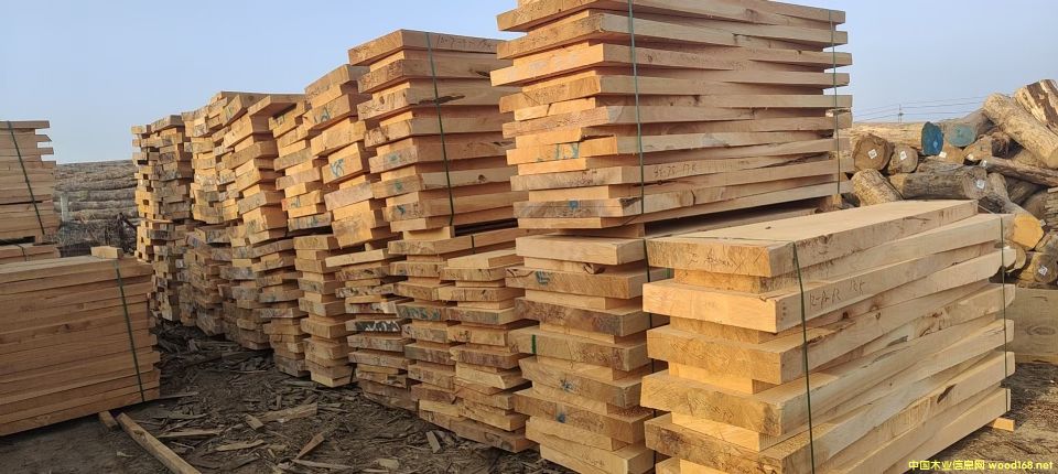 ��ľ�۲��Ϫ���