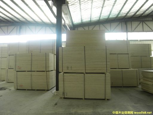 CARBP2��E1��E2 ��ľʮ����� ɳ�l(f��)�� �ɶ���