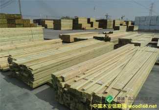 �����ɷ���ľ