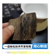 ľ����-�������؃������Ԅ�