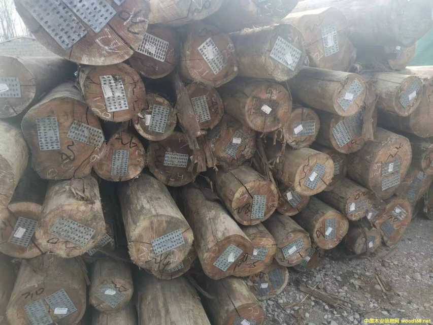 ���I(y��ng)�a(ch��n)Ʒ