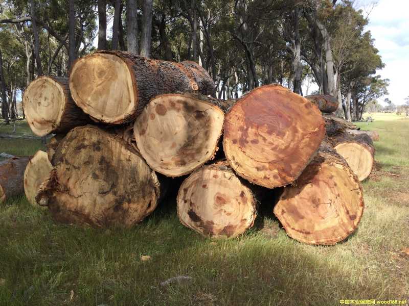 ���~�t���Ԕ����B