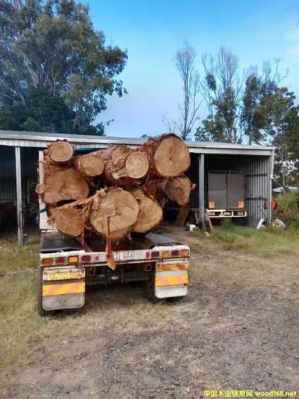 �����ڻ�ľ��Ԕ����B