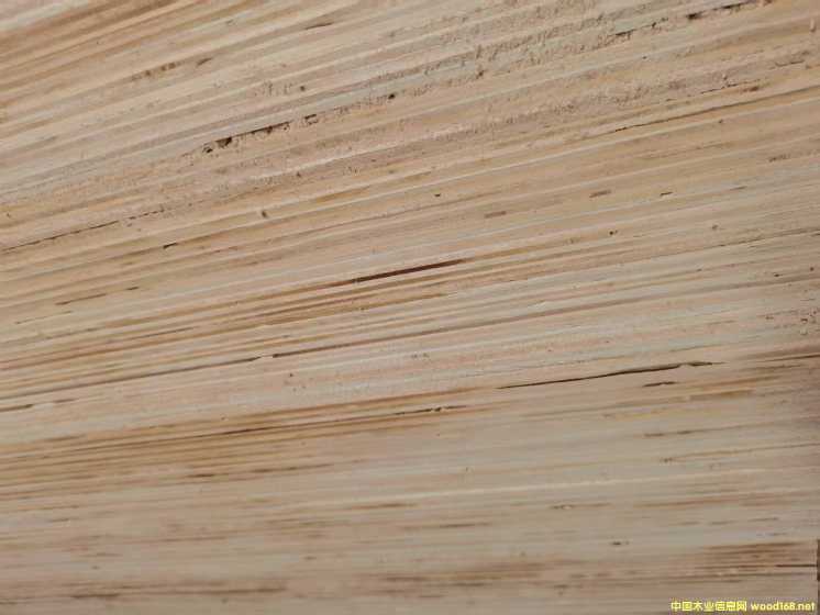  ��Ԕ��(x��)��B