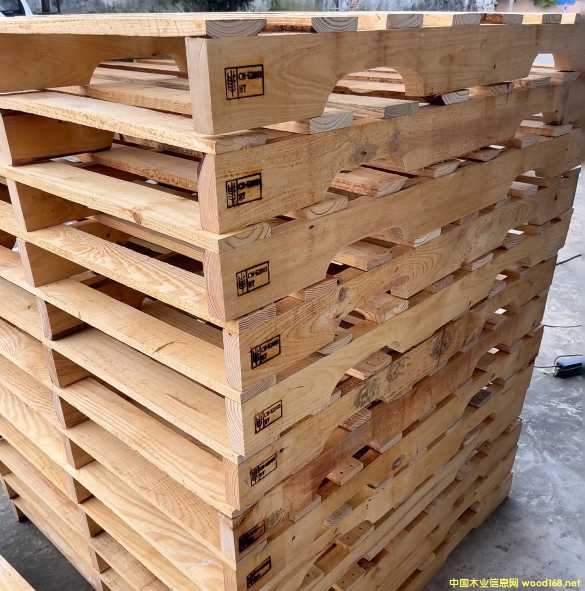 �������ľ�бP