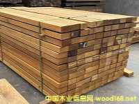 ���޲��}�񡢷���ľ�S�ҡ����}�񡢷���ľ