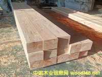 ���������ɡ������ɡ������Sɼ