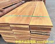 ������ľ����֬ľ��Ѫ�䡢������̩��