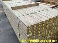 ���mľ����ľ������ľ���mľ�����mľ