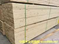 �����ɡ�����ľ�������ɷ���ľ ���ɶ��Ƴߴ�  