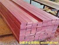 Ǫ�Ĉ@������ľ������ľ���t����