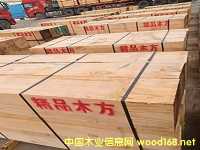 �����mݗ������ݗ���ɷ���ľ������ľ�����mݗ����