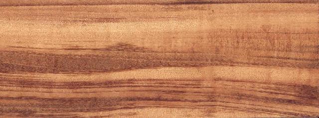 Urunday (Tigerwood) Blow-up Fo��Ԕ����B