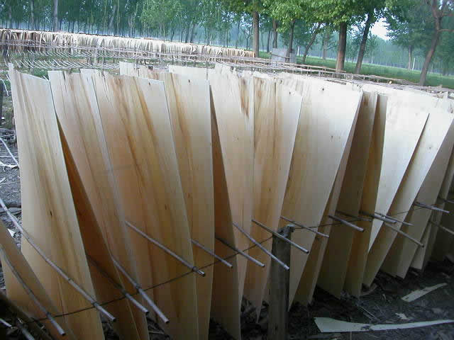 �ΰ��Ԕ����B