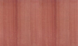 ӭ�����ă��ݻ�ӣ��z�ϰ� �b��N����Ԕ����B