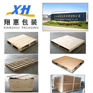 ��Ѭ�������Ԕ����B