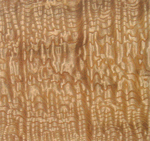 ������ȻľƤ-������(ˮ��������)